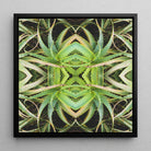 Spiked too - Aloe Vera Botanical Photography Framed Canvas Posters Prints & Visual Artwork