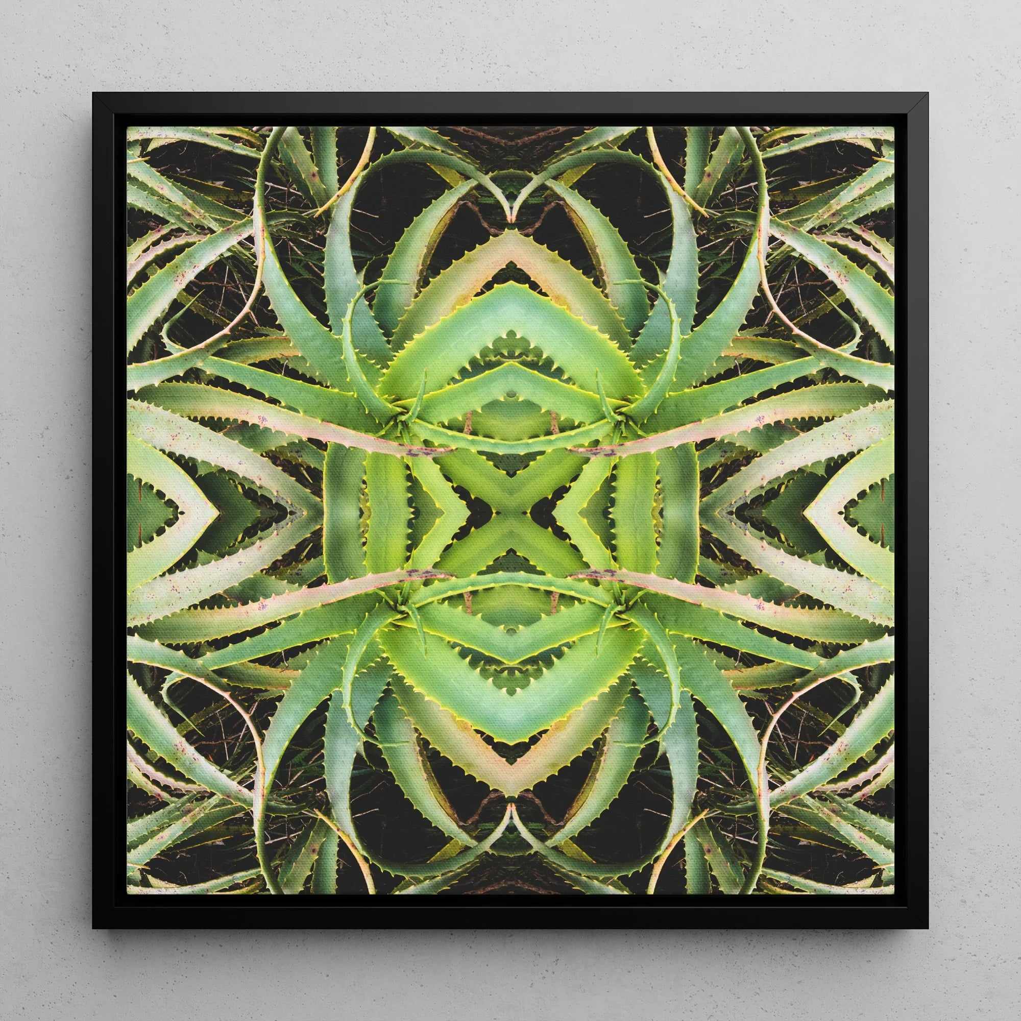 Spiked too - Aloe Vera Op Art Framed Canvas Posters Prints & Visual Artwork