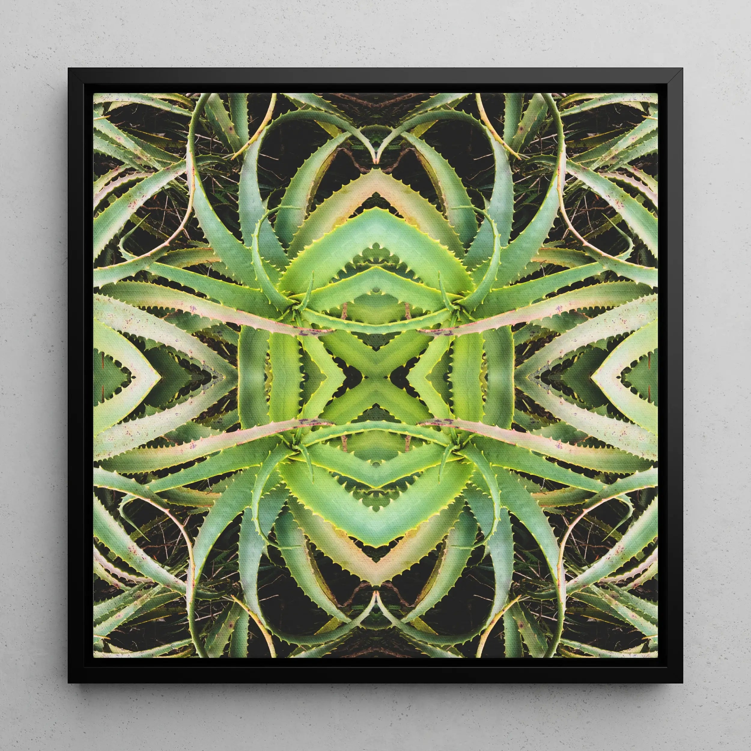 Spiked too - Aloe Vera Botanical Photography Framed Canvas Posters Prints & Visual Artwork