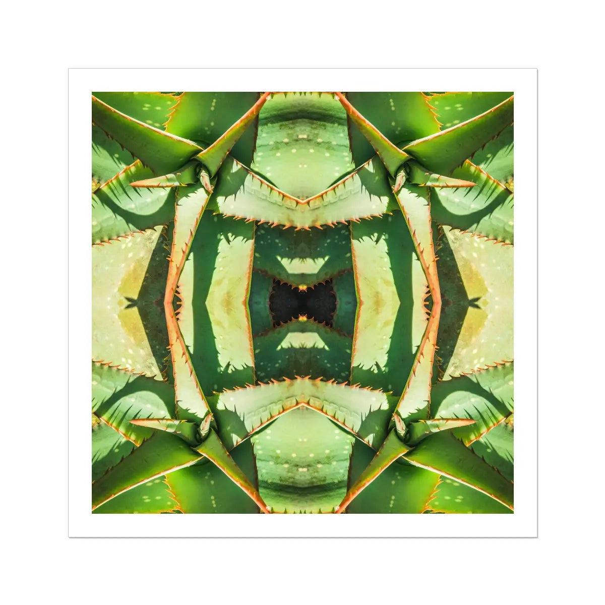 Starry-eyed - Trippy Succulent Op Art Print 30’’x30’’ Posters Prints & Visual Artwork