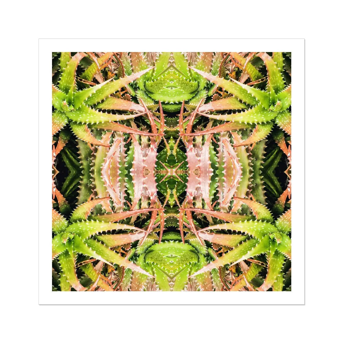 Centre Stage - Trippy Cactus Succulent Art Print Posters Prints & Visual Artwork