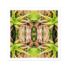 Centre Stage - Trippy Cactus Succulent Art Print Posters Prints & Visual Artwork