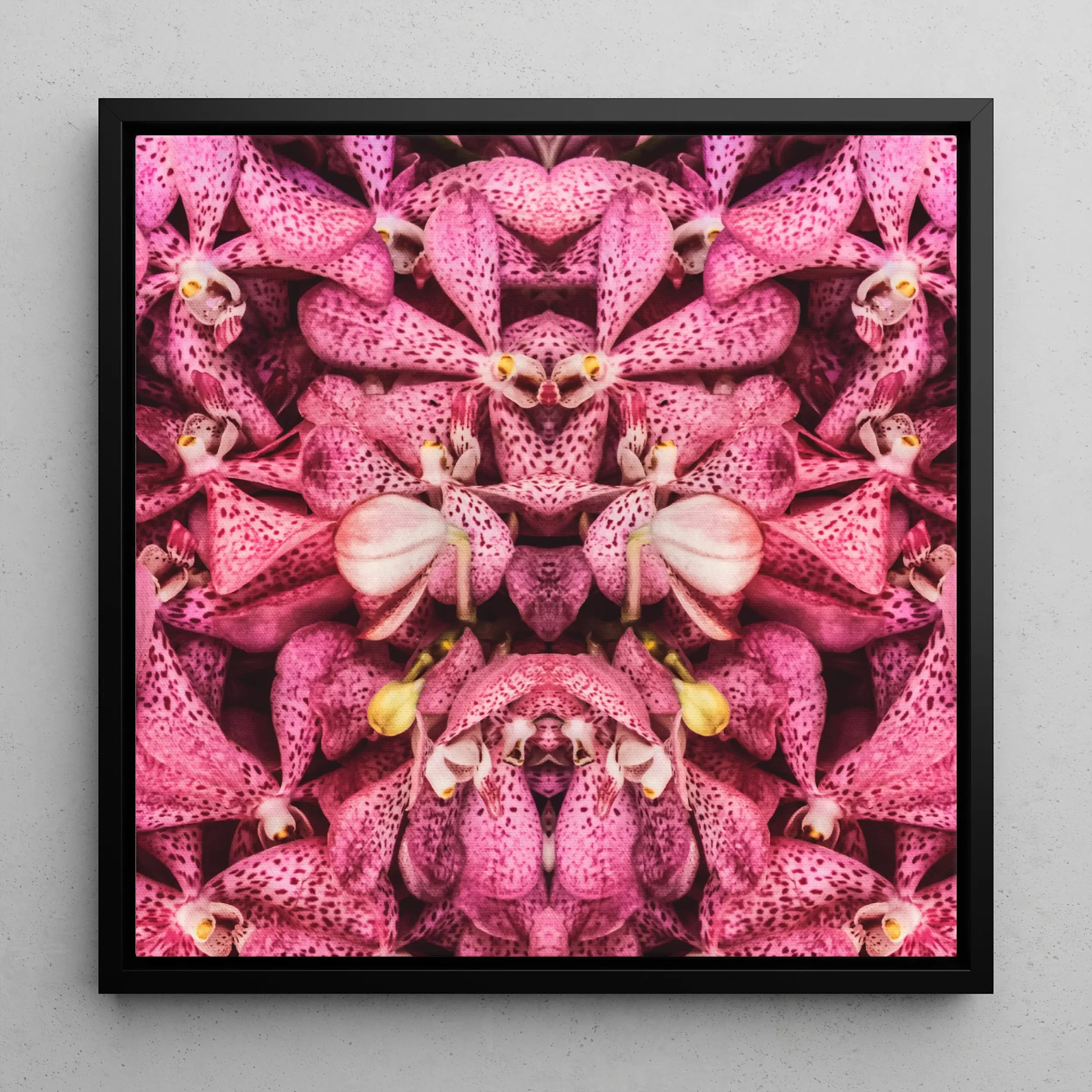 Tickled Pink - Bkk Orchid Flowers Op Art Framed Canvas Posters Prints & Visual Artwork