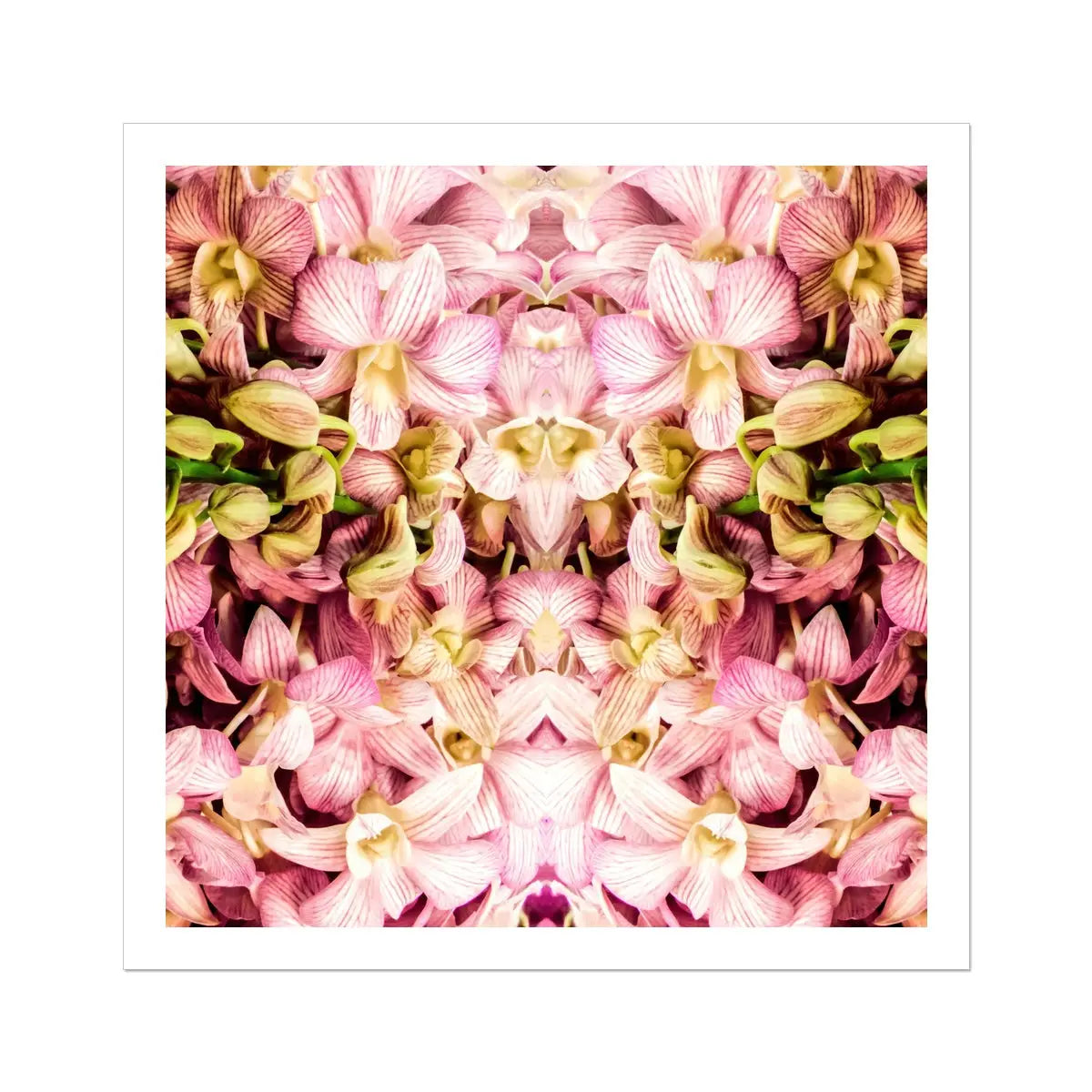 Pretty in Pink - Kaleidoscopic Orchid Art Print 30’’x30’’ Posters Prints & Visual Artwork