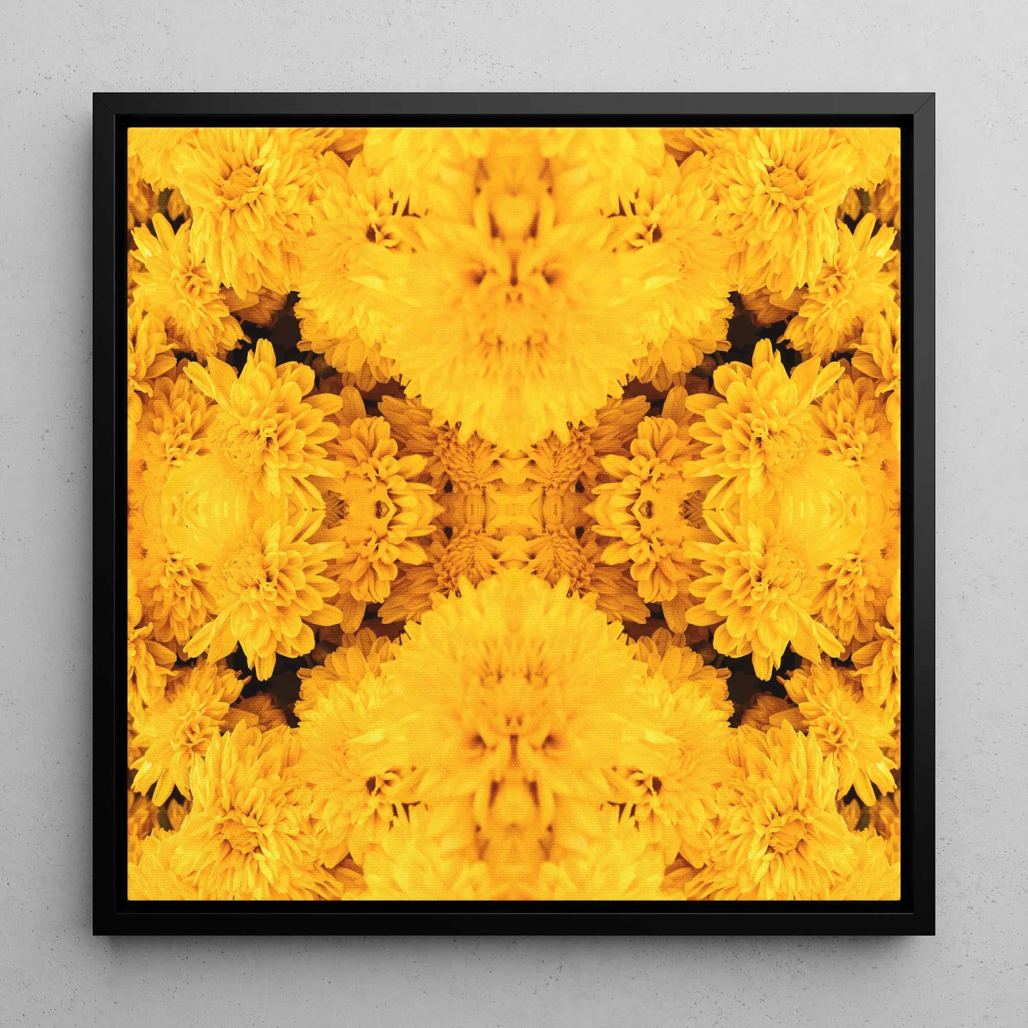 Gold Rush - Chrysanthemum Framed Canvas Posters Prints & Visual Artwork