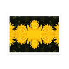 Tweedledum - Chrysanthemum Photography Op Art Print 40’’x30’’ Posters Prints & Visual Artwork