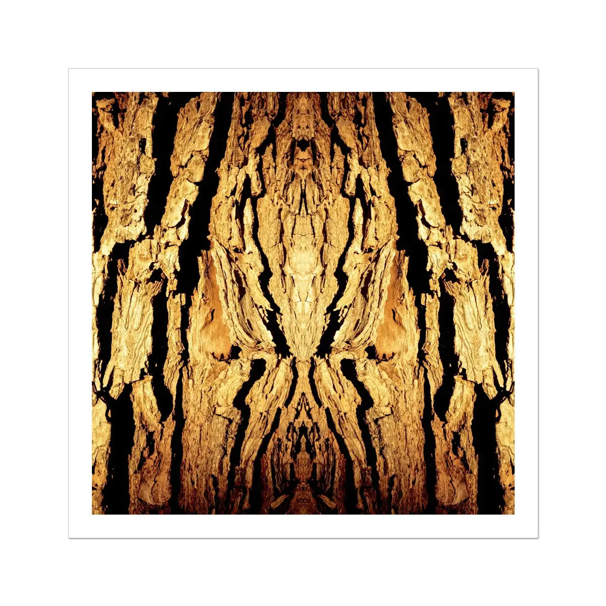 Barking Mad - Trippy Tree Trunk Art Print Posters Prints & Visual Artwork