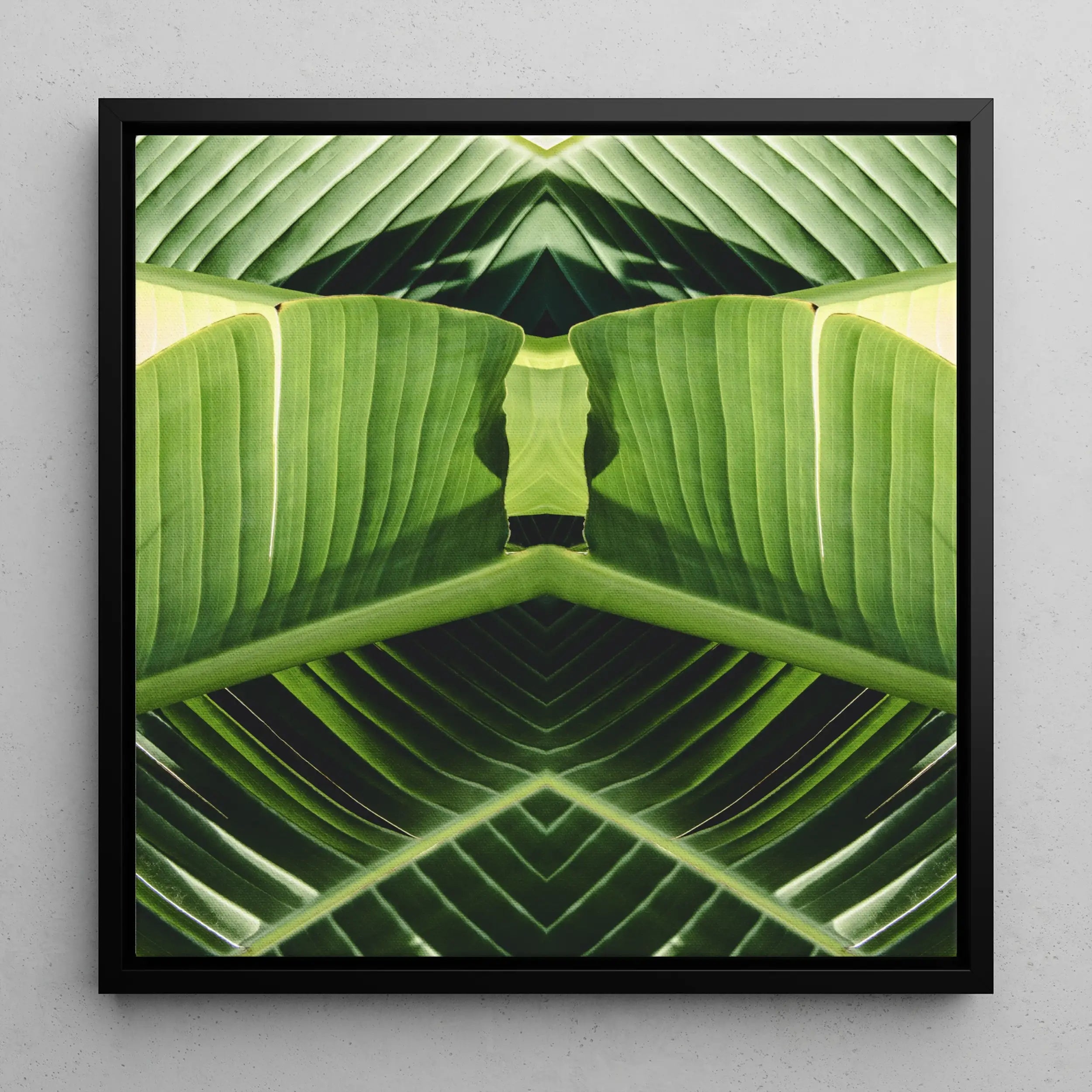 Semaphore - Palm Frond Botanical Op Art Framed Canvas Posters Prints & Visual Artwork