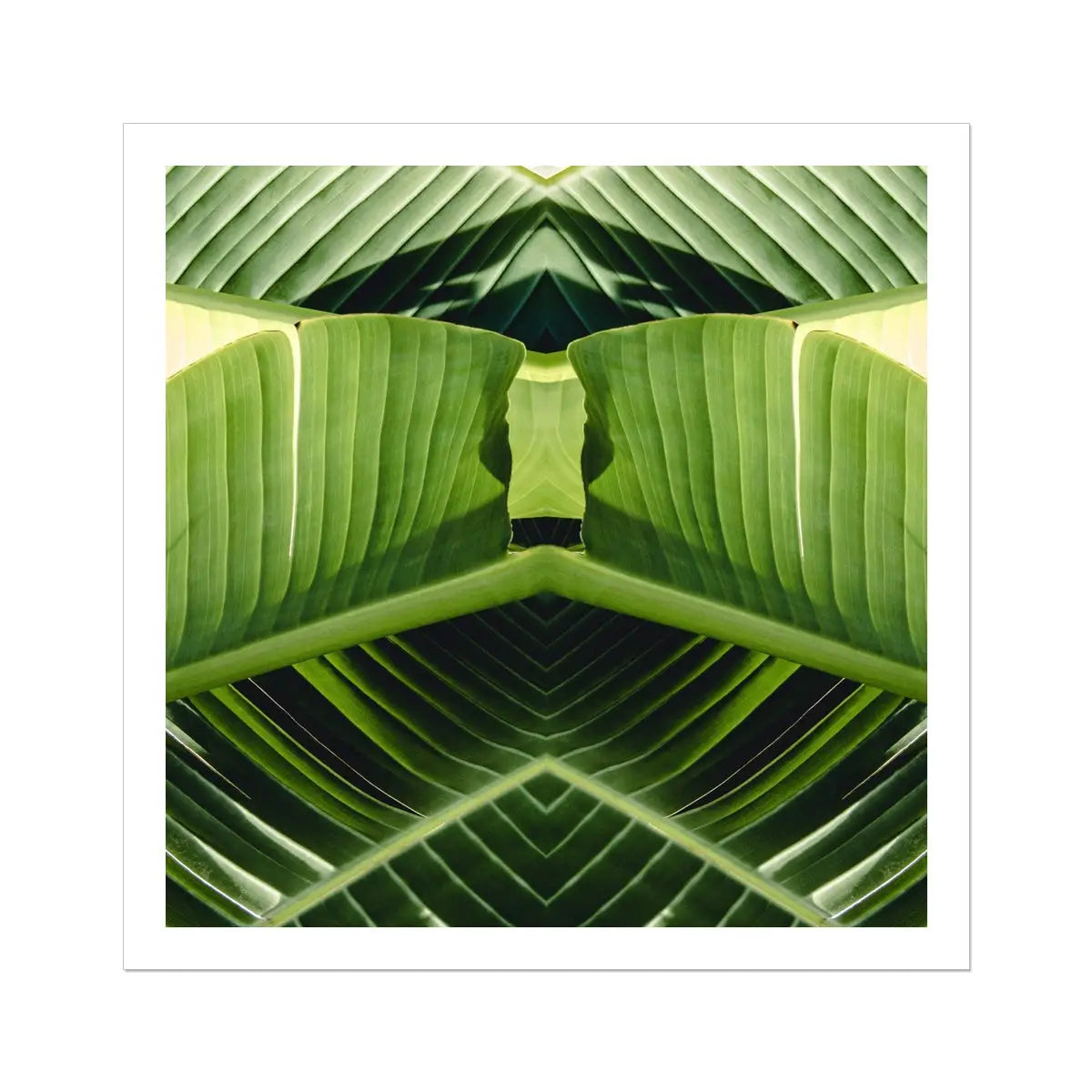 Semaphore - Palm Frond Botanical Op Art Print 30’’x30’’ Posters Prints & Visual Artwork