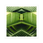 Semaphore - Palm Frond Botanical Op Art Print 30’’x30’’ Posters Prints & Visual Artwork