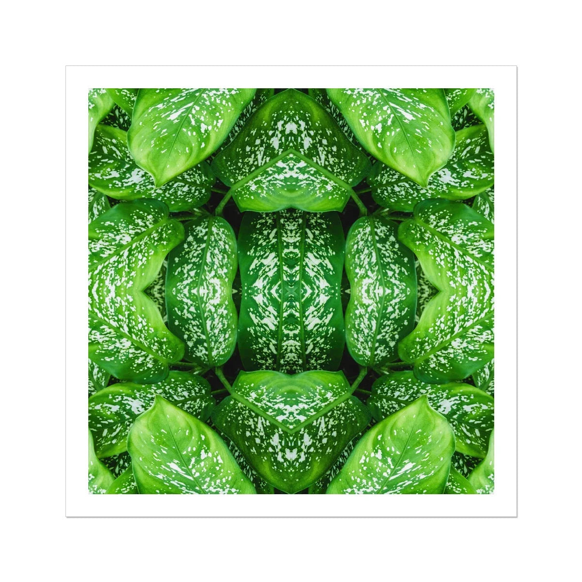 Pitter Splatter - Tropical Leaf Op Art Print 30’’x30’’ Posters Prints & Visual Artwork