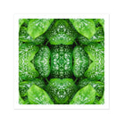 Pitter Splatter - Tropical Leaf Op Art Print 30’’x30’’ Posters Prints & Visual Artwork