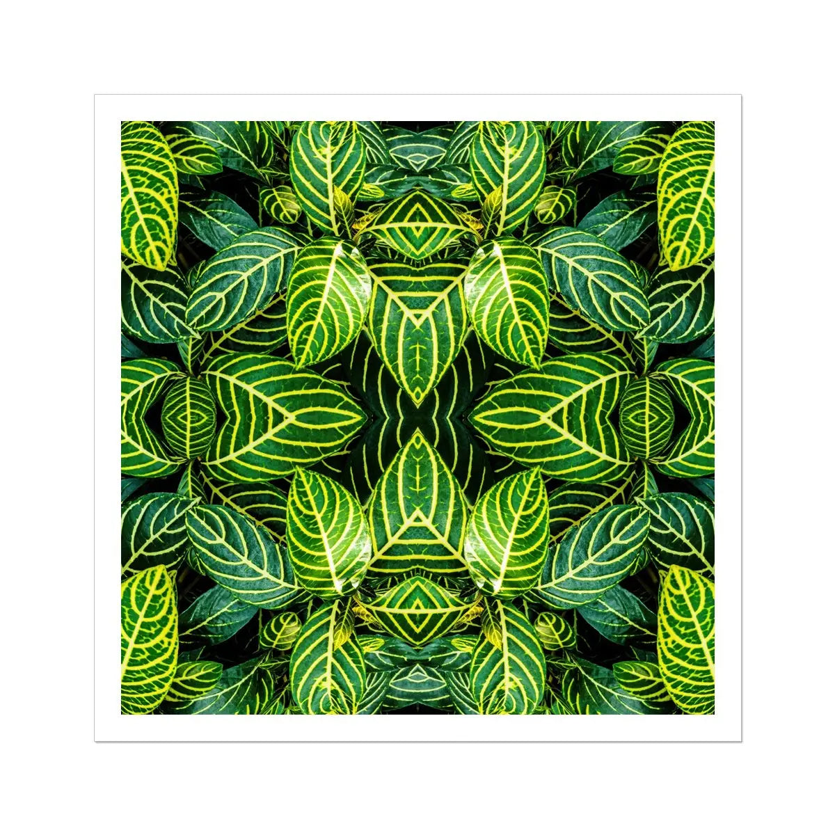 Just the Headlines - Trippy Fractal Leaf Art Print Posters Prints & Visual Artwork