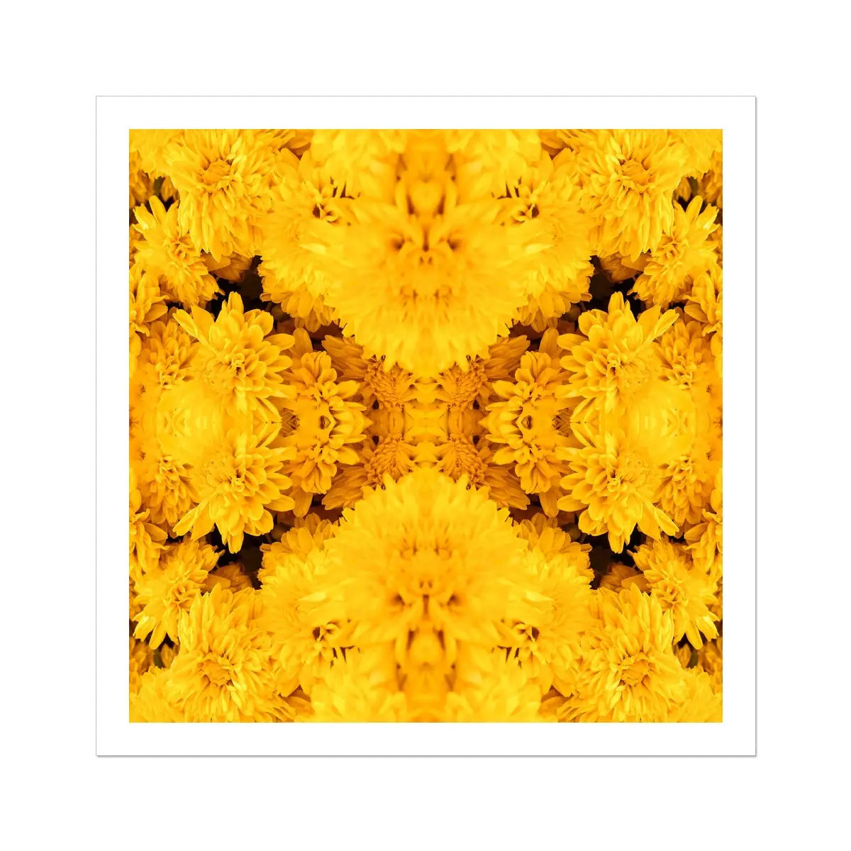 Gold Rush - Chrysanthemum Op Art Print Posters Prints & Visual Artwork