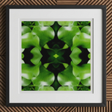 Take me to your Leader - Trippy Leaves Op Art Print, 12x12’’ / 31x31cm / Black Frame / 2’’ Matboard, Framed Piece Art Symmetrical Pattern
