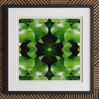 Take me to your Leader - Trippy Leaves Op Art Print, 12x12’’ / 31x31cm / Black Frame / 2’’ Matboard, Framed Piece Art Symmetrical Pattern