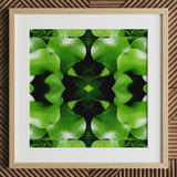 Emmène-moi chez ton Leader - Impression d'art Op Trippy Leaves, 12x12’’ / 31x31cm / Cadre naturel / Passe-partout 2’’, Affiches, Impressions et Œuvres visuelles,