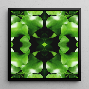 Take me to your Leader - Trippy Leaves Op Art Print / Canvas, 12x12’’ / 31x31cm / Black Frame, Posters Prints & Visual Artwork, Toby Leon