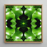 Take me to your Leader - Trippy Leaves Op Art Print / Canvas, 12x12’’ / 31x31cm / Natural Frame, Posters Prints & Visual Artwork, Toby Leon