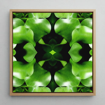 Take me to your Leader - Trippy Leaves Op Art Print / Canvas, 12x12’’ / 31x31cm / Natural Frame, Posters Prints & Visual Artwork, Toby Leon