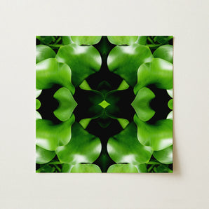 Take me to your Leader - Trippy Leaves Op Art Print / Canvas, 12x12’’ / 31x31cm / Unframed / no Border, Posters Prints & Visual Artwork,