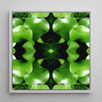 Take me to your Leader - Trippy Leaves Op Art Print / Canvas, 12x12’’ / 31x31cm / White Frame, Posters Prints & Visual Artwork, Toby Leon
