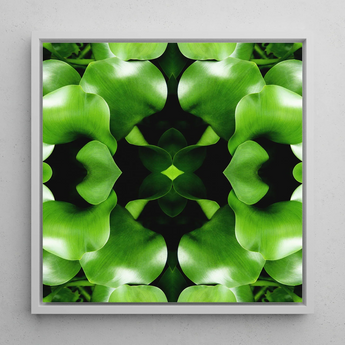 Take me to your Leader - Trippy Leaves Op Art Print / Canvas Square-framed Abstract Botanical Art Print Symmetrical Kaleidoscopic Pattern