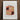 Vibrant Orange Black Beige Patterned Vintage-style Tin Illustration Jacob Gielens’ 1930s Kitchen, Wonderland, Art