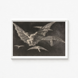 Framed Black-and-white Illustration Muscular Figure Bat-like Wings Air Goya Captures, Etched Copper, Madness Sharing