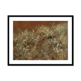 Thistles - John Singer Sargent En Plein Air Art Print, Delicate Dried Wildflowers Grasses Muted Brown White Tones