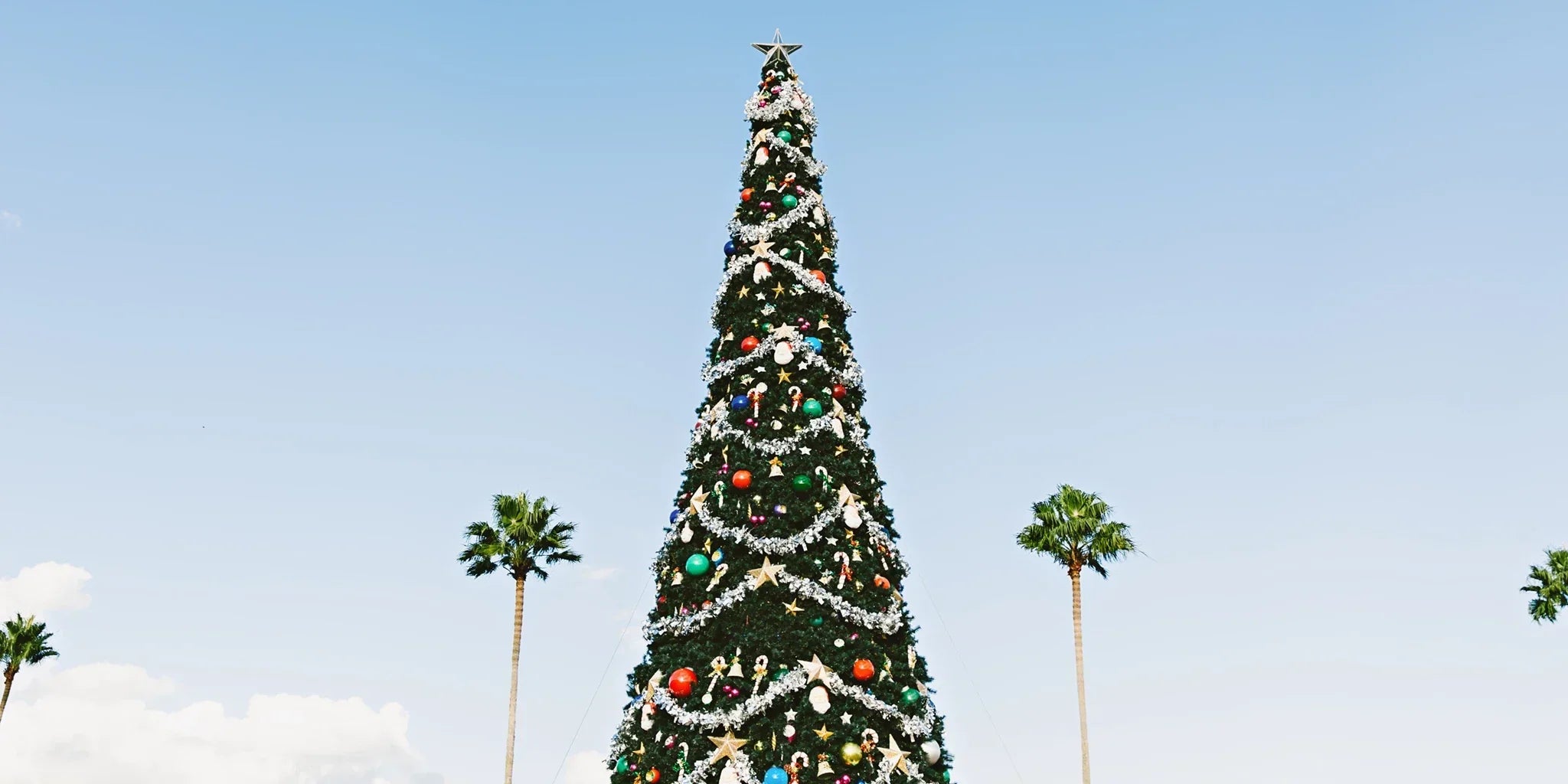 Holiday Order Deadlines