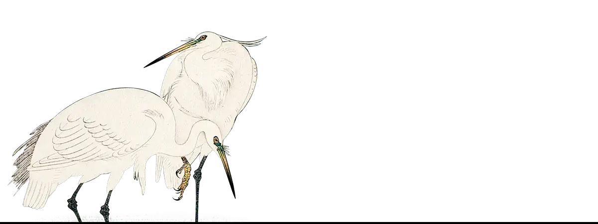 Three white egrets art print inspired by Kōno Bairei by Taguchi Tomoki