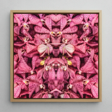 Tickled Pink - Bkk Orchid Op Art Framed Canvas, 12x12’’ / 31x31cm / Natural Floating Frame, Framed Abstract Artwork Kaleidoscopic Pattern