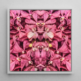 Tickled Pink - Bkk Orchid Op Art Framed Canvas, 12x12’’ / 31x31cm / White Floating Frame, Symmetrical Pink Orchid Kaleidoscope