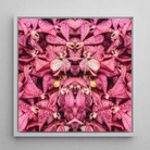 Tickled Pink Bkk Orchid Op Art Framed Canvas, Symmetrical Pink Orchid Kaleidoscope