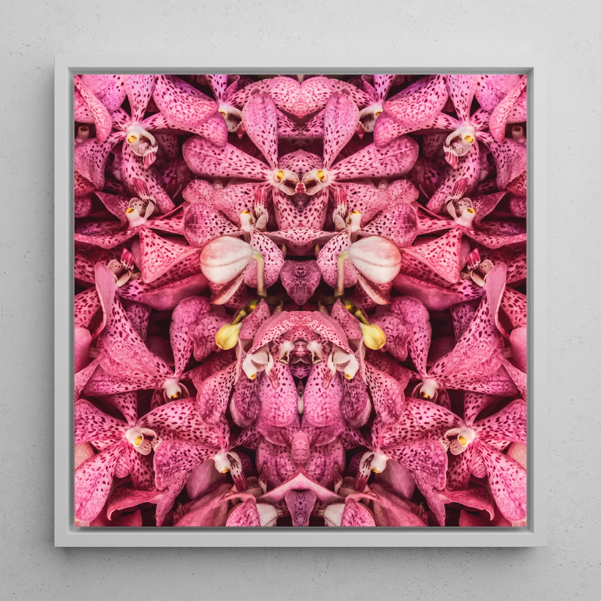 Tickled Pink Bkk Orchid Op Art Framed Canvas, Symmetrical Pink Orchid Kaleidoscope