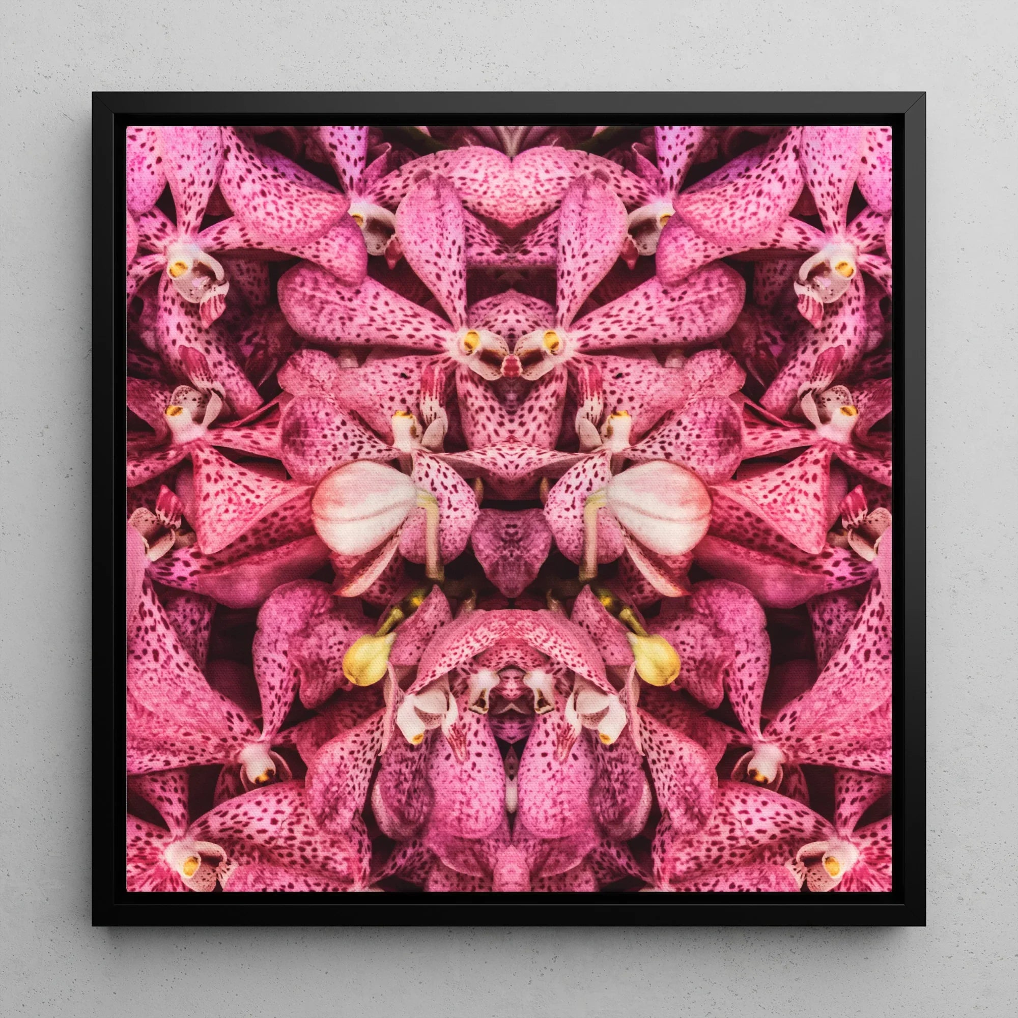 Tickled Pink - Bkk Orchid Op Art Framed Canvas Posters Prints & Visual Artwork