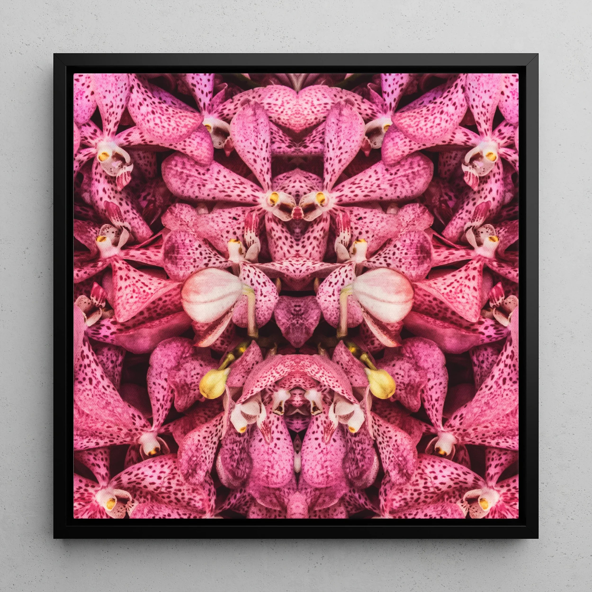 Tickled Pink - Bkk Orchid Op Art Framed Canvas Posters Prints & Visual Artwork