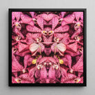 Tickled Pink - Bkk Orchid Op Art Framed Canvas