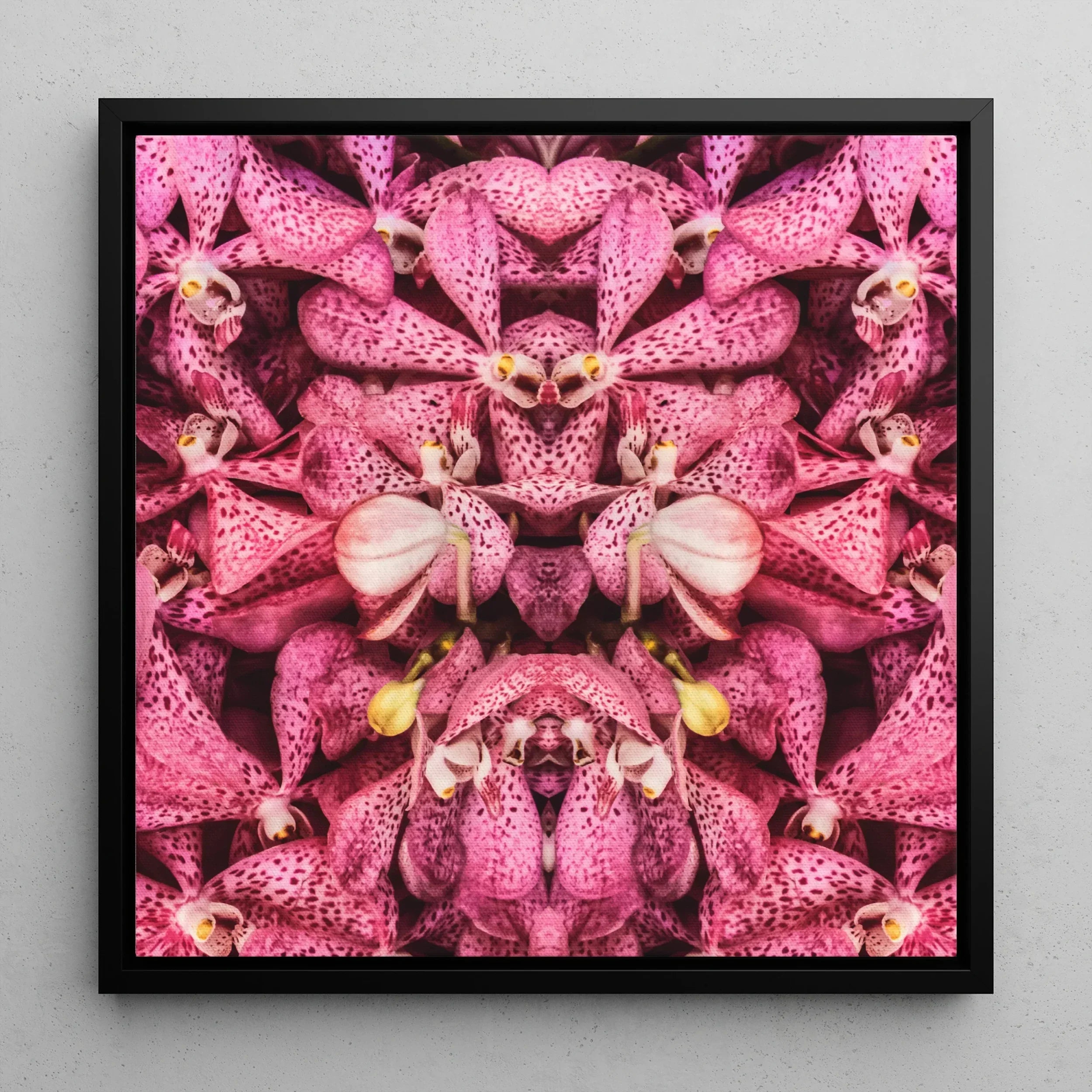 Tickled Pink - Bkk Orchid Op Art Framed Canvas, Symmetrical Kaleidoscopic Pattern Pink Orchid Flowers Speckled Petals