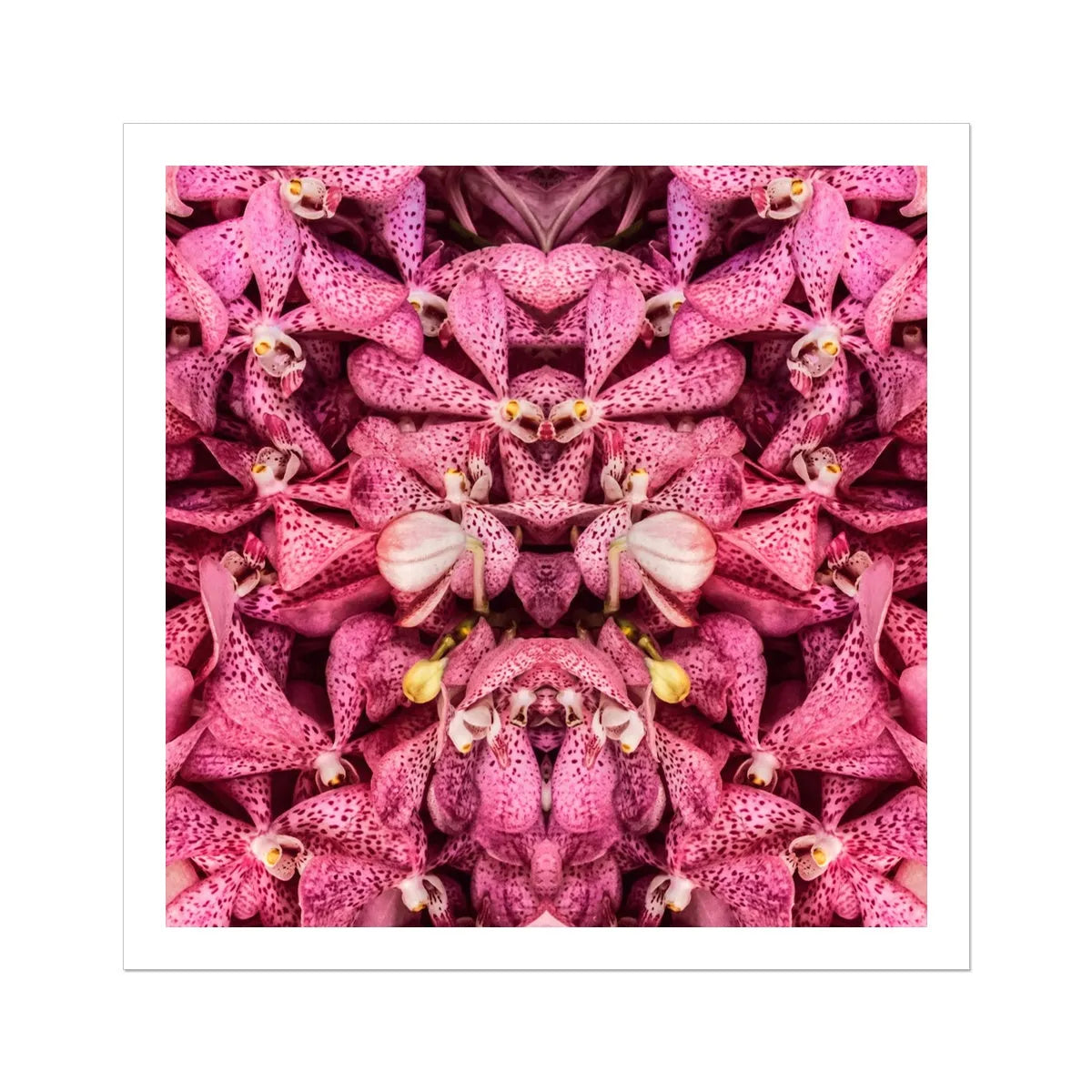 Tickled Pink Fine Art Print - 30’x30’ - Posters Prints & Visual Artwork - Aesthetic Art