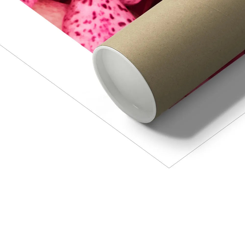 Tickled Pink Fine Art Print - Posters Prints & Visual Artwork - Aesthetic Art