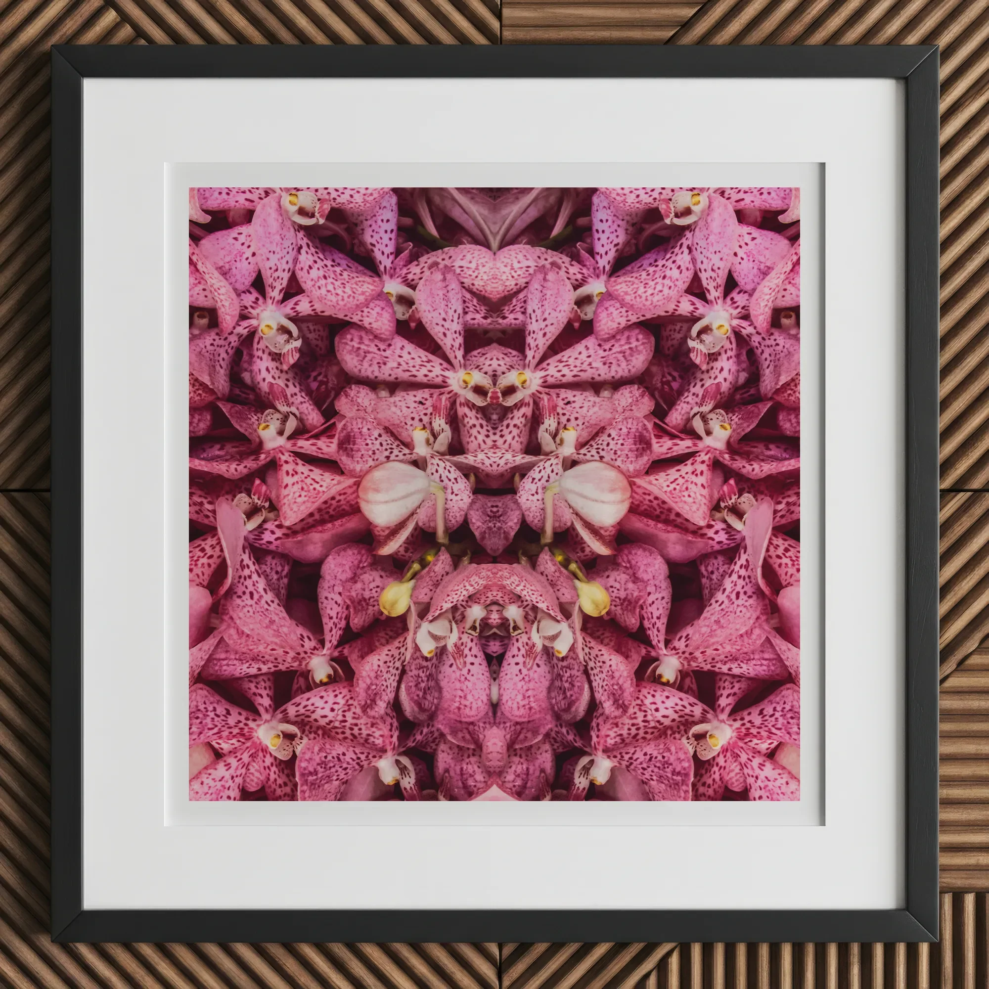 Tickled Pink - Fuschia Orchid Op Art Print, 12x12’’ / 31x31cm / Black Frame, Framed Abstract Floral Print Black Border White