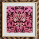 Tickled Pink - Fuschia Orchid Op Art Print, 12x12’’ / 31x31cm / Cornice Naturale / Passepartout 2’’, Stampe Poster & Opere Visive, Toby Leon