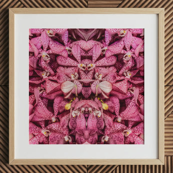 Tickled Pink - Fuschia Orchid Op Art Print, 12x12’’ / 31x31cm / Cornice Naturale / Passepartout 2’’, Stampe Poster & Opere Visive, Toby Leon