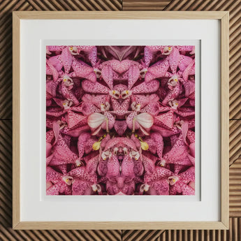 Tickled Pink - Fuschia Orchid Op Art Print, 12x12’’ / 31x31cm / Natural Frame / 2’’ Matboard, Framed Kaleidoscopic Print Pink Spotted