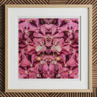 Tickled Pink - Fuschia Orchid Op Art Print, 12x12’’ / 31x31cm / Natural Frame, Framed Kaleidoscopic Print Pink Spotted Orchids