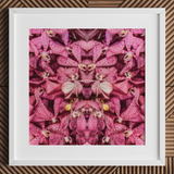 Tickled Pink - Fuschia Orchid Op Art Print, 12x12’’ / 31x31cm / Cornice Bianca / Passepartout 2’’, Stampe Poster & Opere Visive, Toby Leon