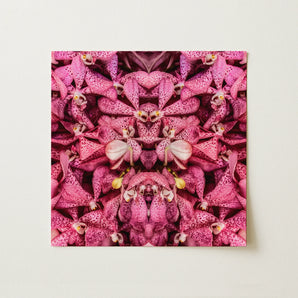 Tickled Pink - Fuschia Orchid Op Art Print / Canvas, 12x12’’ / 31x31cm / Unframed / no Border, Posters Prints & Visual Artwork, Toby Leon