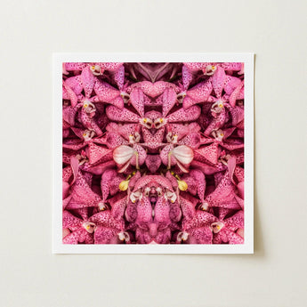 Tickled Pink - Fuschia Orchid Op Art Print / Canvas Square-framed Artwork Symmetrical Kaleidoscopic Pattern Vibrant Orchids, Sensory